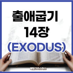 출애굽기 14장 21-31절 강해 [하루말씀]