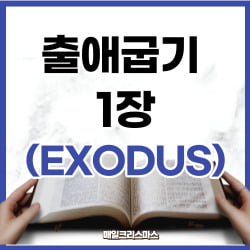 [하루말씀] 출애굽기 1장 15-22절 강해