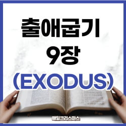 출애굽기 9장 13-21절 강해 하루말씀