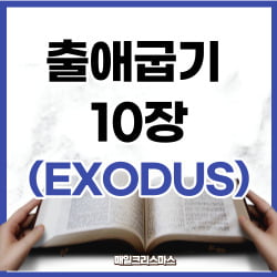 출애굽기 10장 12-20절 하루말씀 1 출애굽기 10장 12-20절 하루말씀