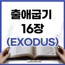 출애굽기 16장 31-36절 강해 [하루말씀]