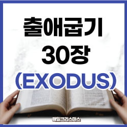 출애굽기 30장 34-38절 향품 출애굽기 30장 34-38절 향품
