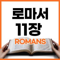 로마서 11장